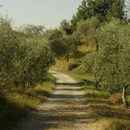 Aramo Verde Exterior photo
