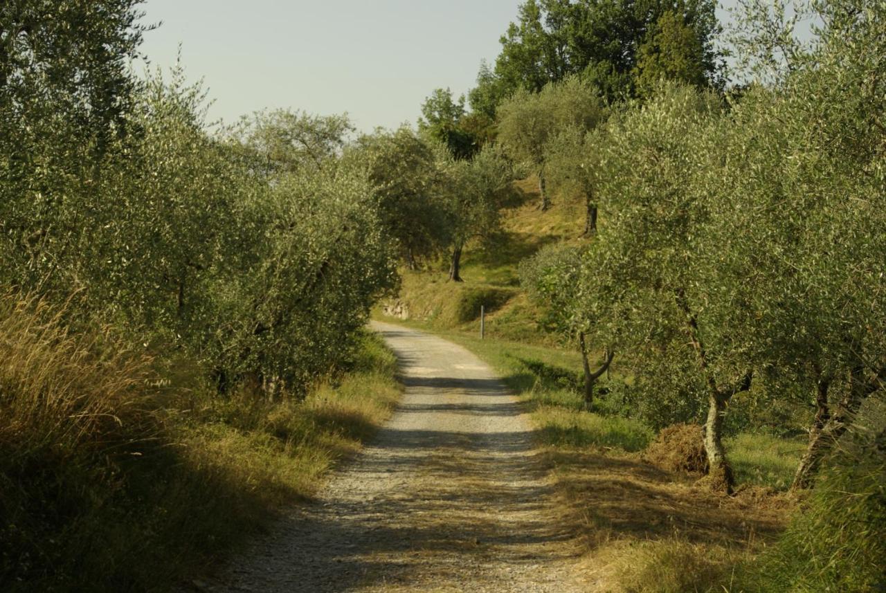 Aramo Verde Exterior photo